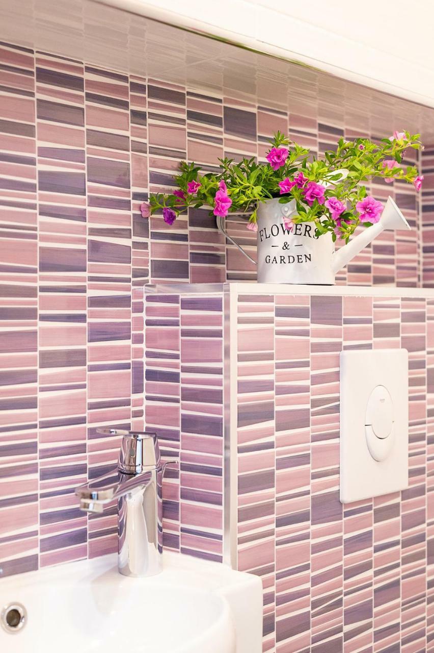 Apartment Auretta Novigrad  Bagian luar foto