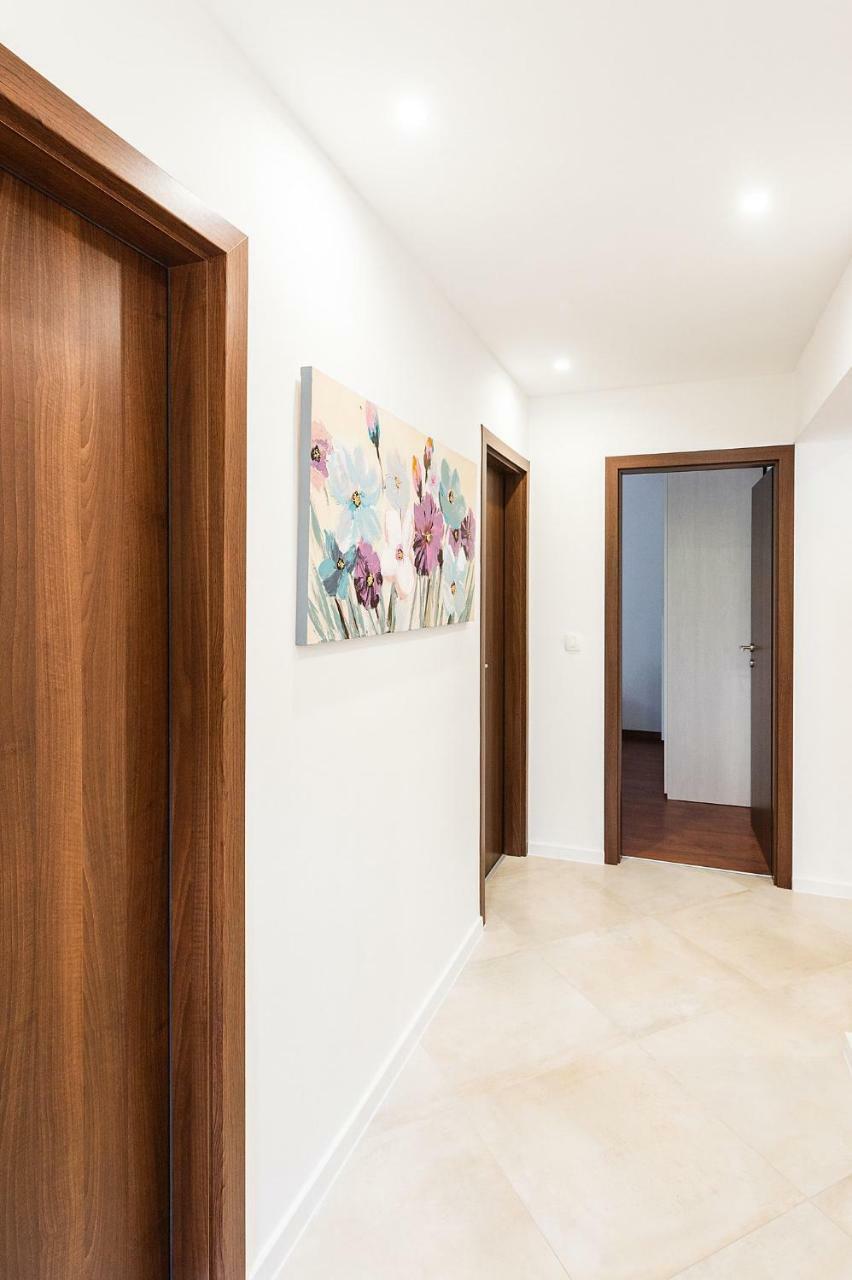 Apartment Auretta Novigrad  Bagian luar foto